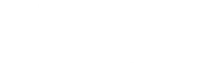 Genesis eBonds Electronic Bail Bonds